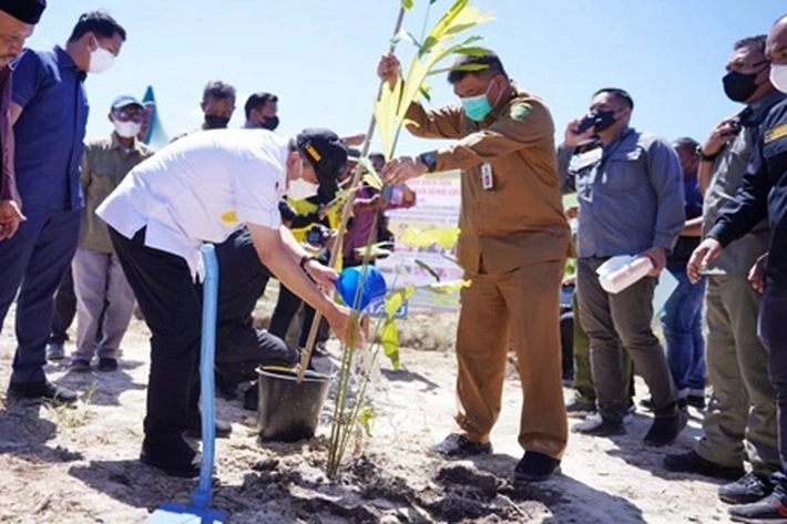 Program 'Riau Hijau' Digencarkan di Daerah-daerah, 'dengan Tanam 1.000 Bibit Pohon Produktif'