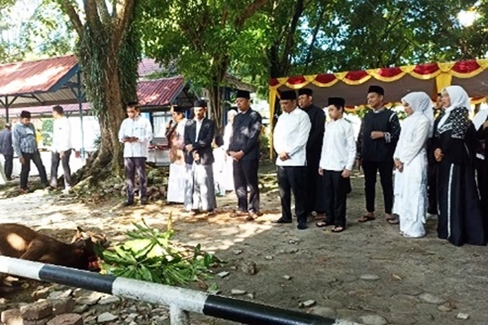 Pj Wako dan Jajaran Saksikan Pemotongan Hewan Kurban pada Hari Pertama Iduladha 1444 Hijriah