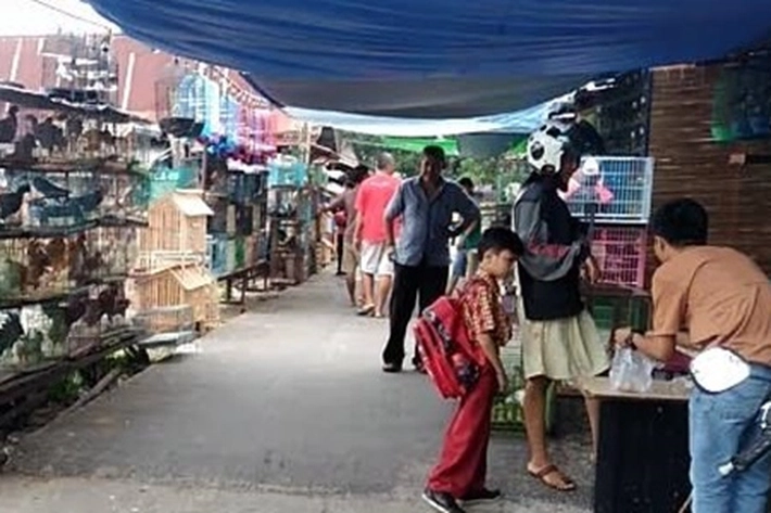 Pasar Palapa Segera Direvitalisasi, 'yang Mengharuskan Pedagang Segera Pindah ke TPS'