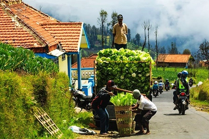 Desa Karya Indah Kaya akan Sumber Daya Alam, KNPI Riau: 'Kami Beritahu Cara Pengelolaannya dalam Silaturahmi'