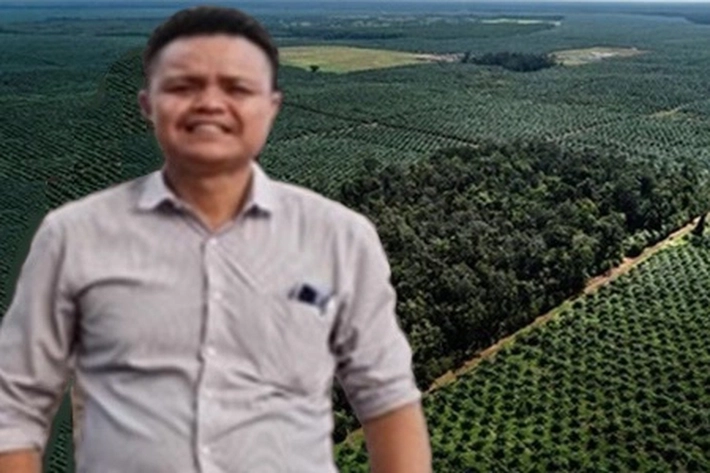 Pemerintah Ingin Memutihkan Kasus Perambahan Area Hutan jadi Kebun Sawit, SALAMBA: 'Korporasi Seakan Digiring Masuk ke Jebakan Batman'