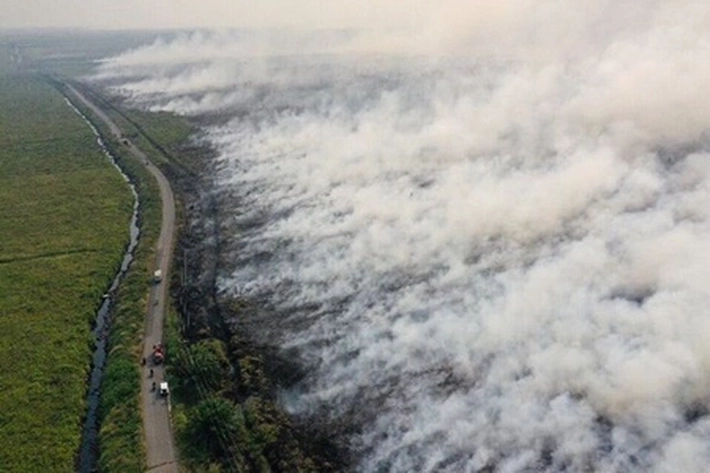 Pemerintah Diminta Audit Kepatuhan Perusahaan Pemilik Konsesi, 'karena Jutaan Hektare Lahan Gambut Rentan Terbakar di Musim Kemarau Ini'