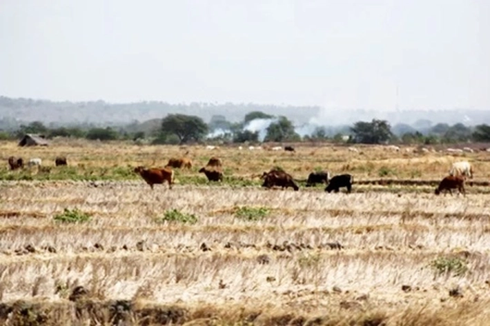 Masyarakat Dihimbau Tidak Buka Lahan dengan Membakar, 'karena Kemarau 2023 Bakal Lebih Kering'