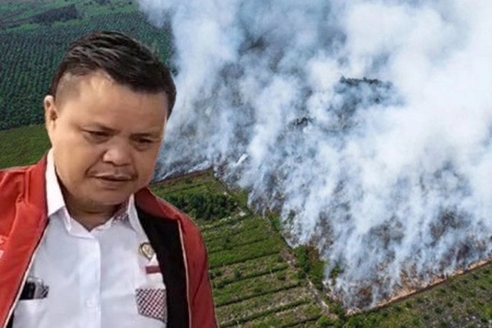 Puluhan Ribu Hektare Lahan Gambut 'Rentan Terbakar', SALAMBA: Pemerintah Audit Kepatuhan Perusahaan Pemilik Konsesi