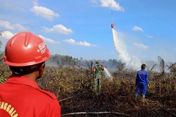 Titik Hospot Bertambah Banyak dan Meningkat, 'yang Meluluhlantakkan Lahan Gambut di Rohil dan Inhil'