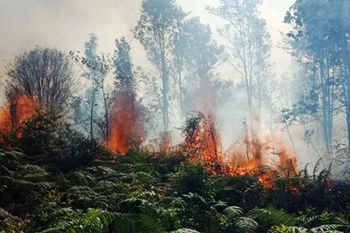 Karhutla Membara Hari Ini di Pulau Sumatera, 'Tapi Riau Paling Banyak Kena Gempuran Titik Panas'