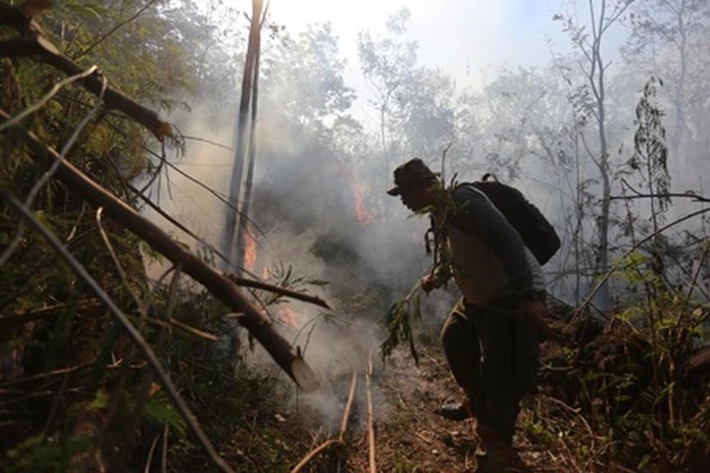 BPBD Imbau Warga Waspadai Wilayah Berstatus Sangat Mudah Terbakar, 'karena Riau Masuk Musim Kering yang Rawan Karhutla'