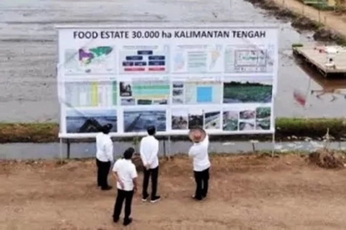 Food Estate Digempur, Disorot dan Dikritik, Presiden Jokowi Jelaskan: akan Melanjutkan Proyeknya di 2024