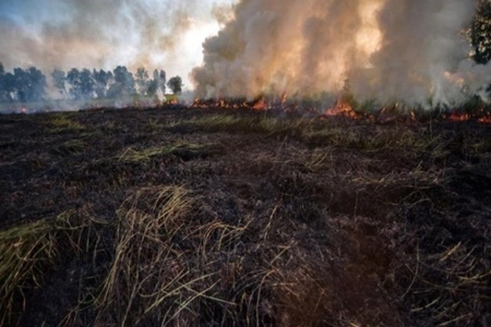 Intensitas Hotspot Mulai Meningkat, 'Tetapi Operasi Hujan Buatan di Riau Dihentikan'