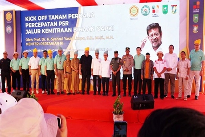 Produksi CPO Nasional Masih Rendah akan Dongkrak Produksi Sawit Riau, Dirjen Andi Nur Alamsyah: Juga Masih Ketimpangan Produktivitas Sangat Tajam