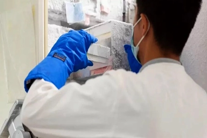 Virus Nipah 'Penyakit Zoonosis' Ditularkan dari Lingkungan Hewan Liar, 'yang Sudah jadi Ancaman Pandemi Berikutnya'