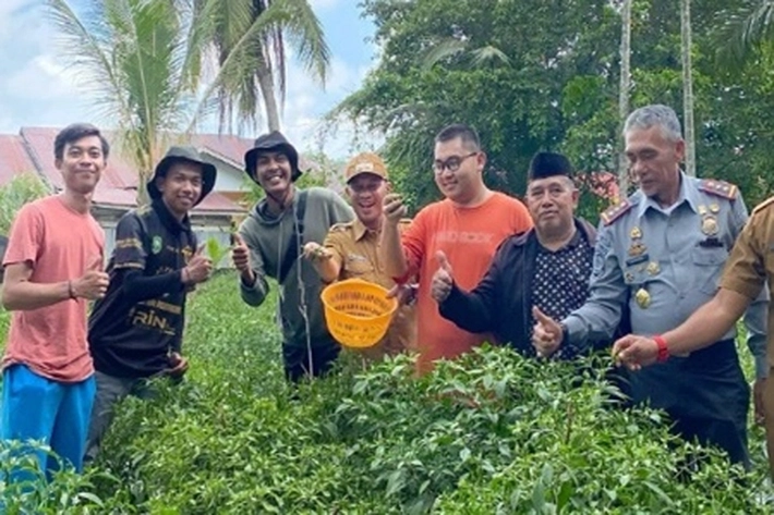 Wabup Bagus Santoso Panen Cabai Bersama Mahasiswa, 'yang Hasilnya Luar Biasa'