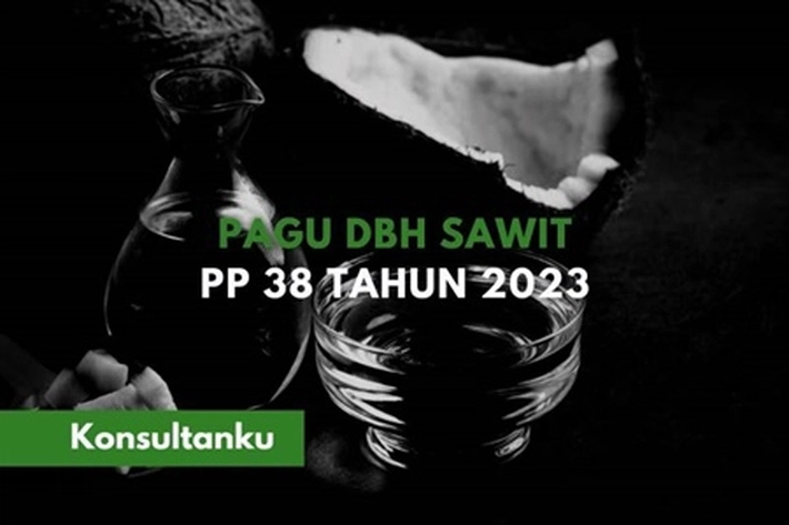 Menkeu Belum Cairkan DBH Sawit untuk 12 Daerah di Riau, kata Kepala Bapenda Syahrial Abdi