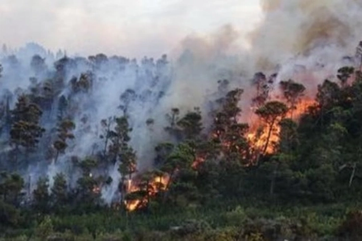 Hotspot di Sumatera Berangsur Turun dan Riau Tembus 114 Titik