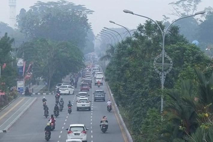 Kabut Asap 'ubrak-abrik' Pekanbaru Buat Kualitas Udara Tidak Sehat, Sekdako Indra Pomi Nasution: 'Pakai Masker dan Hindari Aktivitas Luar Rumah'