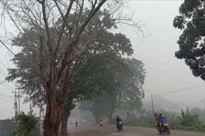 Kualitas Udara di Pekanbaru Masih Tidak Sehat, 'Tapi Sudah Menunjukkan Penurunan'