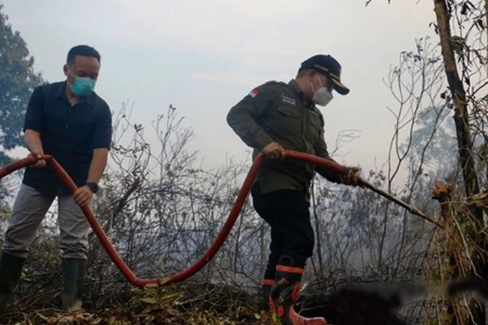 Kabut Asap Masih Terjadi dan Mulai Menunjukkan Kerugiannya, Wakil Menteri LHK: Pemda Segera Tetapkan Status Siaga Darurat Karhutla