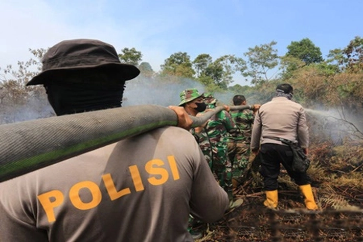 Polisi Tangani 37 Kasus Kebakaran Hutan dan Lahan di Riau, 'yang Nihil Tersangka Korporasi'
