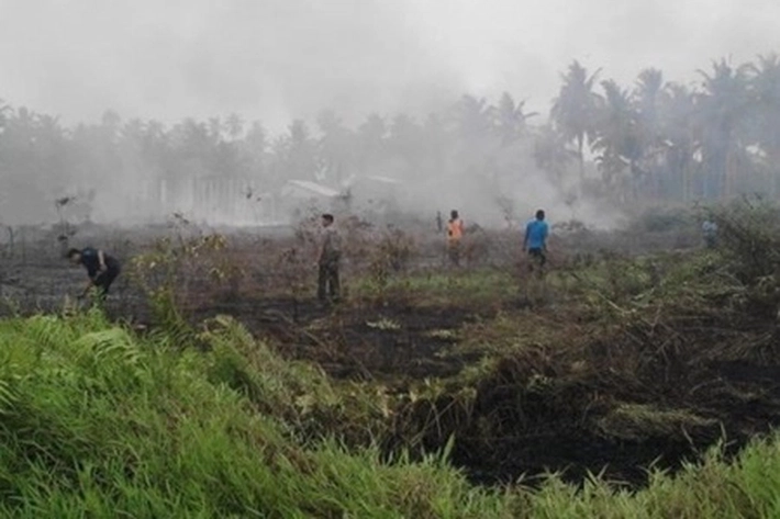 Jumlah Hotspot Terus Berkurang Setelah Hujan Turun, 'Kini Titik Panas Terbanyak dan Pindah ke Sumsel'