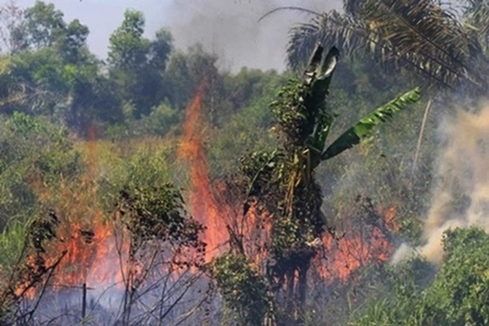 Pelaku Bakar Lahan Ditangkap karena Hotspot Masih 'Mengamuk', 'yang Sempat Nihil Tapi Melonjak lagi'
