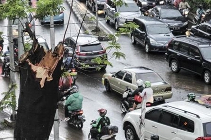 BPBD Ingatkan Hujan Disertai Angin Kencang di Pekanbaru Bisa Terjadi, 'Perlu Terus Tingkatkan Pengawasan'
