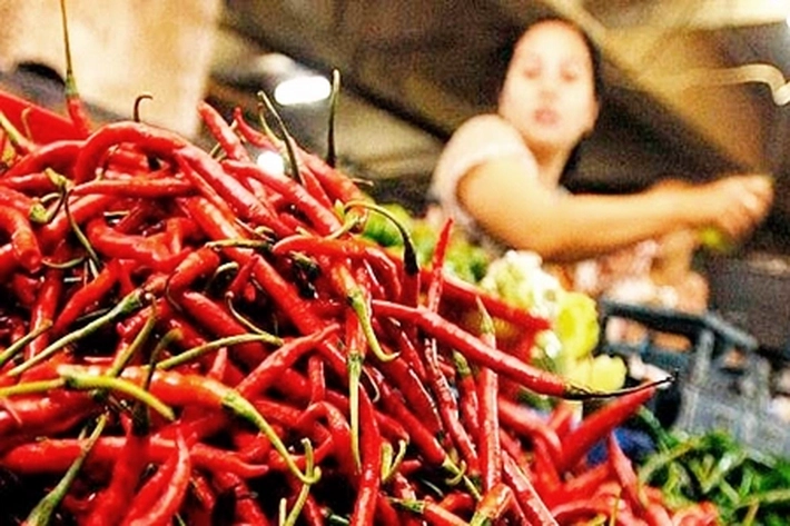 Cabai Merah Makin Pedas Tembus Rp100 ribu per Kilogram