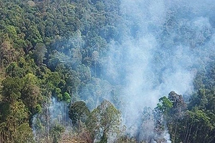 BMKG Prediksi Hanya Sebagian Wilayah Riau Diguyur Hujan, 'Tapi Tingkat Hotspot Menurun'