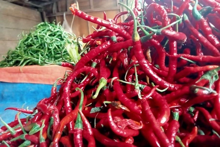 Cabai Merah Aceh Makin Pedas Masuk ke Pasar Pekanbaru, 'Harganya Lebih Murah dan Terjangkau'
