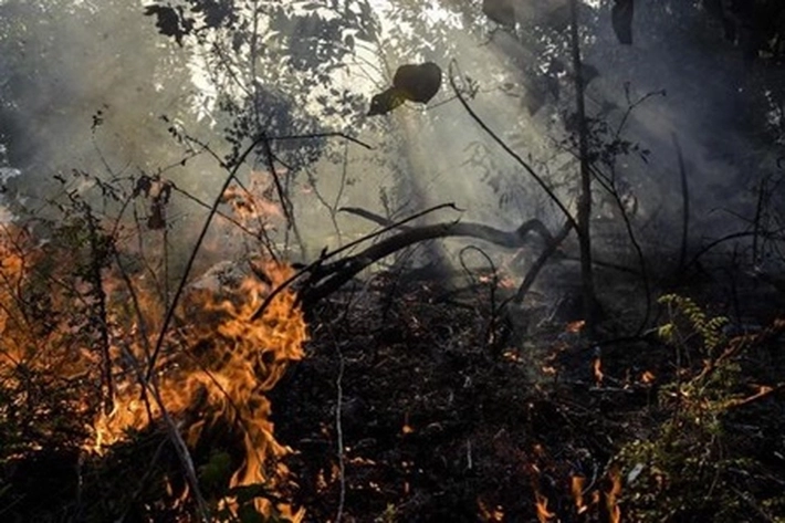 Sepanjang 2023, Luas Lahan Terbakar di Riau Naik Jadi 2.632 Hektare