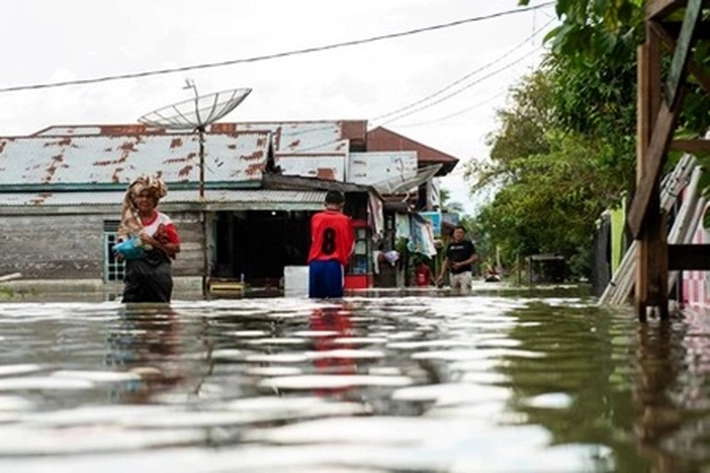 11 Desa di Rohil Sudah Terendam Banjir, 'Ribuan Jiwa Masih Dihadapkan Air, Tetapi Tetap Sabar dan Tawaqal'