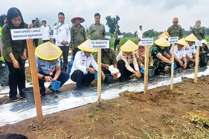 Pj Walikota Muflihun Canangkan Gerakan Menanam Cabai, 'Salah Satu Cara untuk Mengendalikan Inflasi'