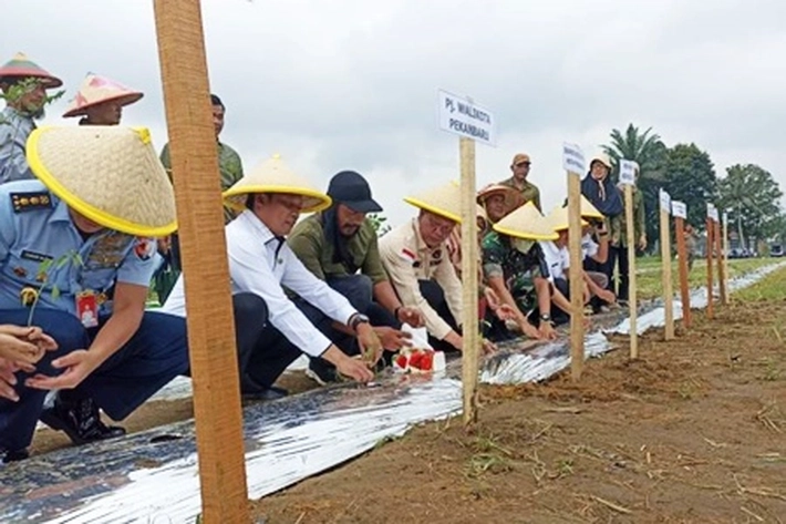 Kurangi Ketergantungan Daerah Lain untuk Kebutuhan Pangan, Pemko Luncurkan Pekanbaru Bertani