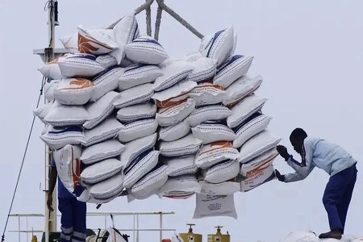 Harga Beras Terguncang Hebat Buat Warga Mulai 'Menjerit', LKEDNas: 'Ini Sangat Tidak Masuk Akal yang Terjadi di Negara Agraris'