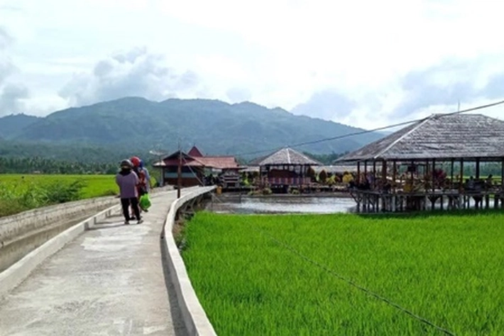 Pemko Menerima Undangan Walikota Solok untuk Panen Raya, 'Sebagai Pemasok Beras Rutin ke Pekanbaru'