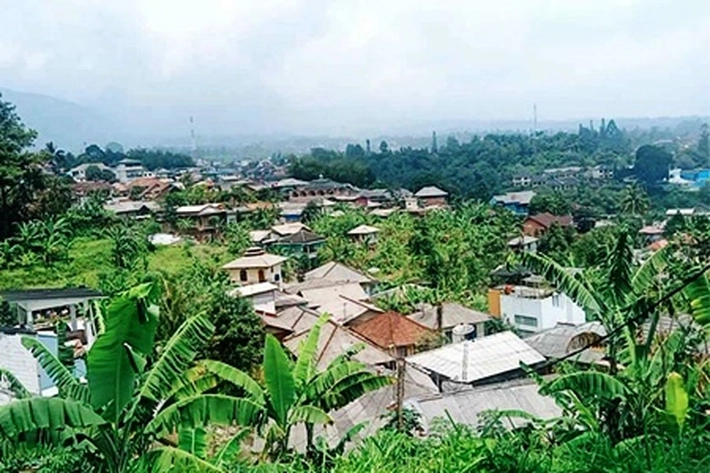 Area Hutan Banyak Dialihfungsikan jadi Pemukiman dan Perkebunan, SALAMBA: 'Ini Memicu Kerusakan Lingkungan Lebih Masif'