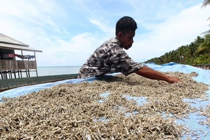 Usai Pandemi Berakhir, Dinsos Catat 28.215 Warga Natuna Masih Kategori Miskin