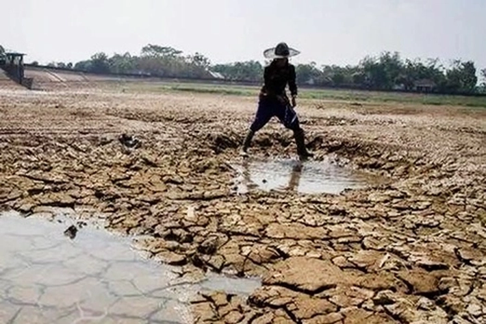 Fenomena Aneh di Sektor Pertanian Indonesia, 'Hujan Datang Tiba-Tiba Lalu Berhenti, Tapi Lahan Jadi Hangus'