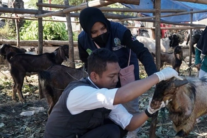 Dokter Hewan dan Paramedis Dikerahkan Jelang Idul Adha 1445 Hijriyah, 'Untuk Pemeriksaan Kesehatan Hewan Kurban'