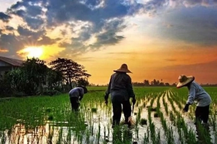 1.803 Desa di Riau Dipuji Dirjen BPD Kemendagri RI, 'karena Mampu Atasi Ketertinggalan dan Mandiri'