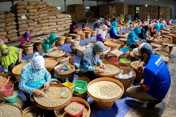 BRI Optimistis Capai Target KUR 2024, Kata Direktur Supari