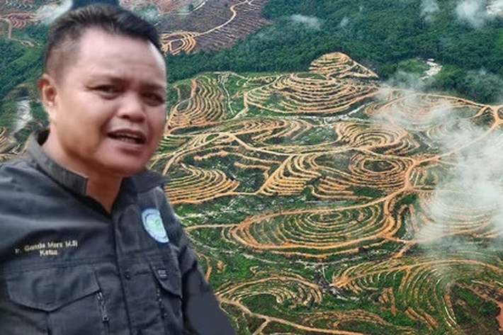 Kenaikan Harga TBS Untungkan Petani atau Perambah Hutan?