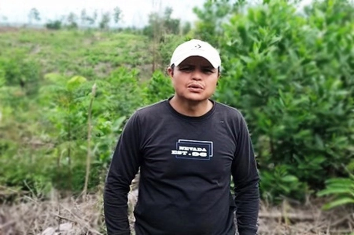 Pabrik Kelapa Sawit Tanpa Kebun Belum Dievaluasi, SALAMBA: 'Kepala Daerah Perlu Awasi Pendirian Perusahaan'