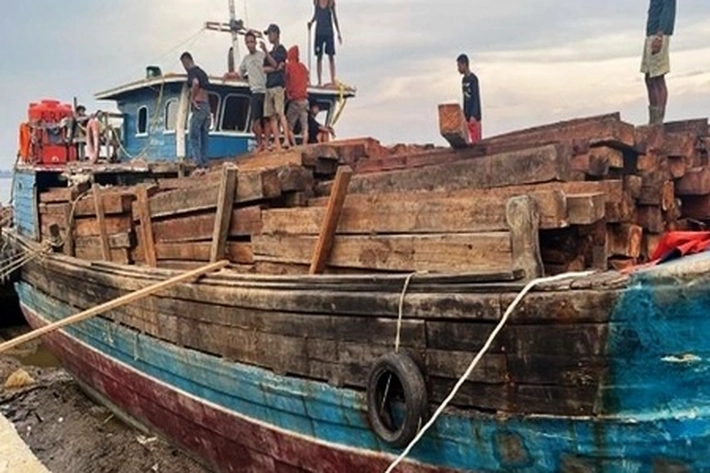 Polisi Tangkap Nakhoda Kapal karena Bawa Kayu 70 Ton yang Tidak Dilengkapi Dokumen