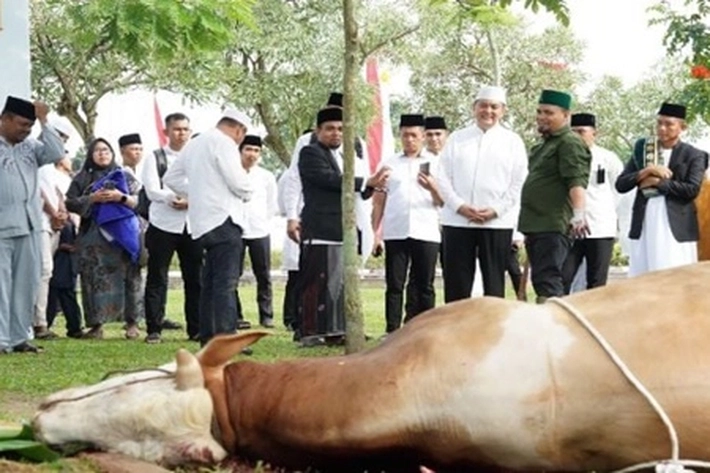 Polda Riau Sumbangkan 52 Hewan Kurban di Perayaan Idul Adha 1445 Hijriyah