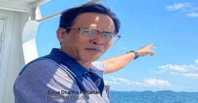 Yuk Lihat Pulau-pulau Terkecil Tempat Penyu Bertelur di Laut Kepri