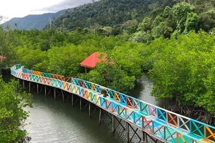 Surga Tersembunyi di Desa Kelumu, 'Dipenuhi Keindahan Hamparan Hutan Mangrove yang Masih Perawan'