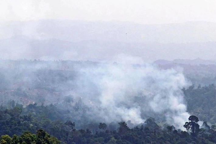 BMKG Catat Hotspot di Pulau Sumatera Melonjak 96 Titik, Riau Nihil