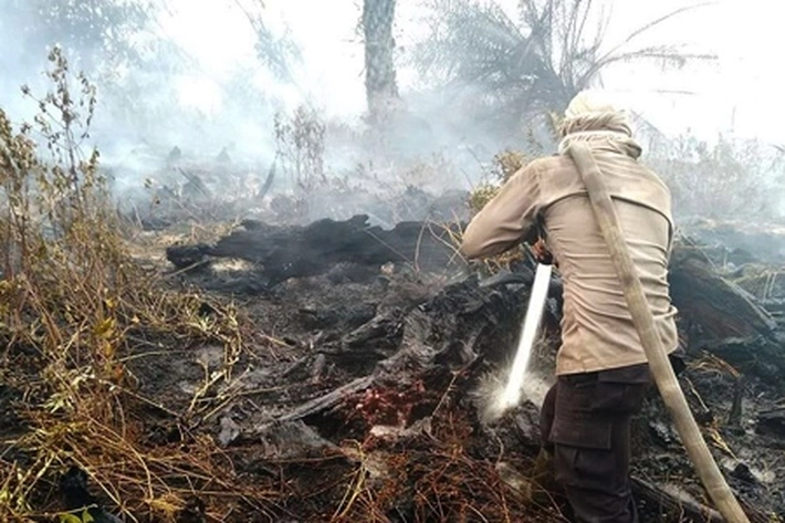 Hotspot di Riau Membludak Terdeteksi 68 Titik yang Tersebar di 9 Kabupaten/Kota