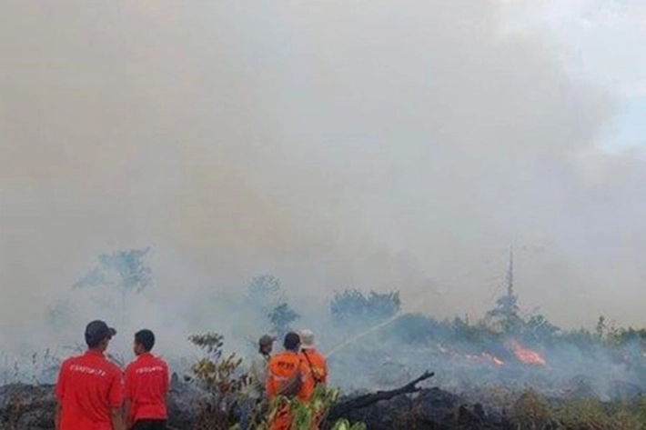 BPBD Pekanbaru Belum Tetapkan Darurat Karhutla Walaupun Sudah Terbakar 2,7 Ha