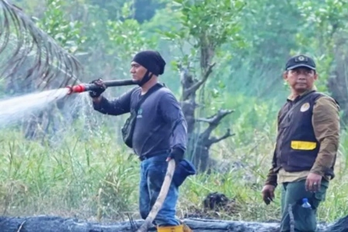 Kebakaran Hutan dan Lahan Melanda Desa Tasik Serai yang Nyaris Sambar Cagar Biosfer Giam Siak Kecil
